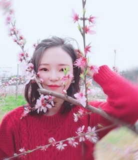 小桌子的第一张照片--华安交友网