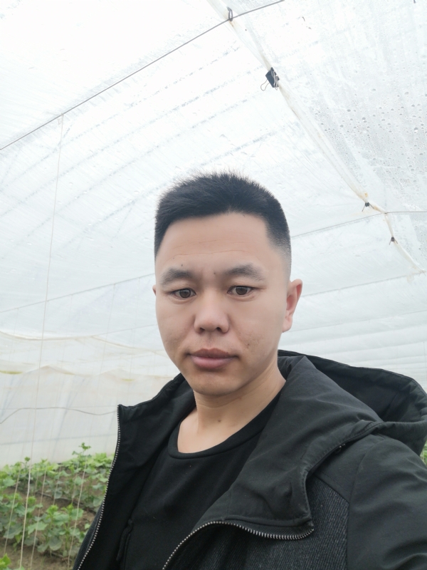 宇成的第二张照片--华安交友网