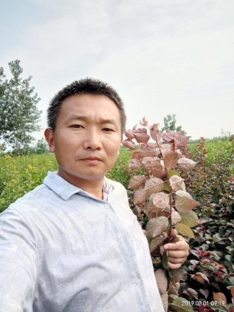 孩子爸的第一张照片--华安交友网